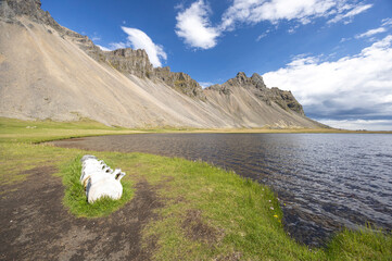 dramatically eroded mountain slopes of Vestrahorn and a whale's vertebra on the shore, Iceland