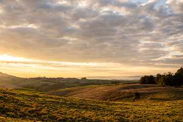 Golden sunset over the rolling green hills of a rural farm in Paraná, Brazil. A peaceful and...