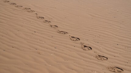 taken using full-frame DSLR, 50mm lens, delicate footprint trail winding across pristine sandy shoreline with soft shadow play