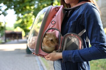 Woman with her cute cat in backpack carrier at park, closeup