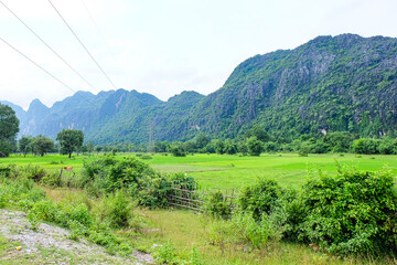Fresh green rice paddies and rice fields in the south of Laos, with the background of a foggy...