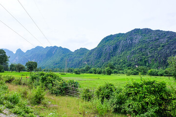 Fresh green rice paddies and rice fields in the south of Laos, with the background of a foggy cloudy mountain, Khammuane Province, Laos   