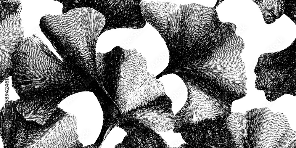 Poster intricate repeating pattern of ginkgo seeds and leaves in vintage engraving style for design project