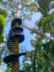 Canopy Walk, zipline and biking in the tropical rainforest jungle, La Foret in Laos