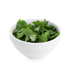 Aromatic cilantro in bowl isolated on white