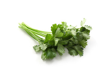 Sprigs of aromatic cilantro isolated on white