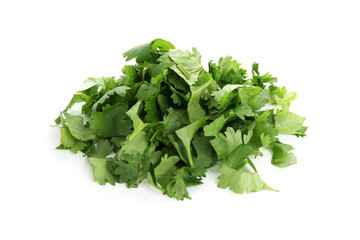 Leaves of fresh cilantro isolated on white