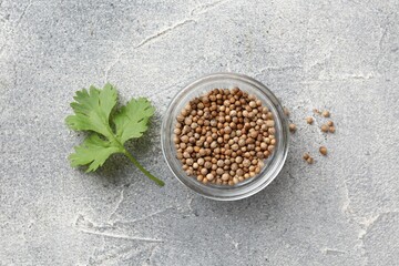 Fresh cilantro leaf and coriander seeds on grey table, flat lay