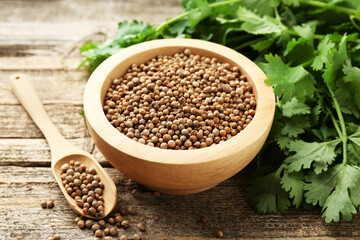 Fresh cilantro and coriander seeds on wooden table, closeup