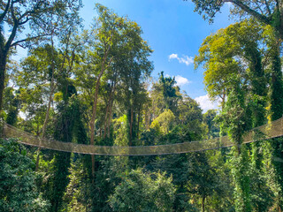 Canopy Walk, zipline and biking in the tropical rainforest jungle, La Foret in Laos