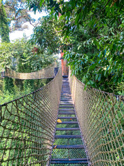 Canopy Walk, zipline and biking in the tropical rainforest jungle, La Foret in Laos