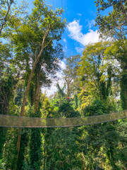 Canopy Walk, zipline and biking in the tropical rainforest jungle, La Foret in Laos