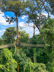 Canopy Walk, zipline and biking in the tropical rainforest jungle, La Foret in Laos