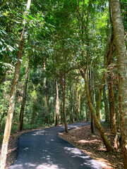 Canopy Walk, zipline and biking in the tropical rainforest jungle, La Foret in Laos