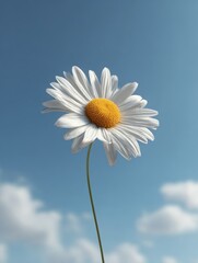 Serene Daisy Against Azure Sky: Capturing the Essence of Summertime and Nature's Simple Beauty with Artistic Flair and Delicate Detail.
