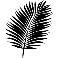 Fototapeta premium Palm Leaf Vector Silhouette