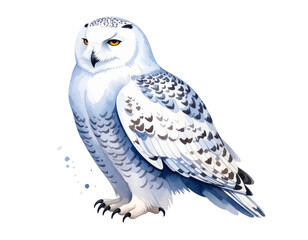 Side Profile Watercolor Snowy Owl Vector with Gentle Feather Texture, White Background