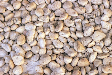 Smooth, rounded river stone texture with a soft, blurred background, highlighting natural imperfections and organic patterns