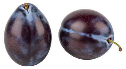 Isolated Two Fresh Plums