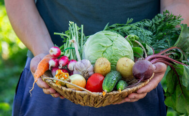 Basket of Fresh Organic Vegetables Harvested from the Garden