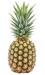 Pineapple with green leaves and textured skin cutout isolated on transparent bg, png