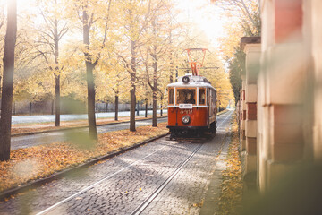 Vintage trams glide down a tree lined avenue ablaze with autumn hues in Prague, blending historic...