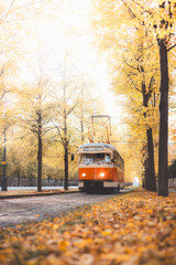 Vintage trams glide down a tree lined avenue ablaze with autumn hues in Prague, blending historic...