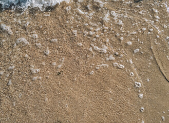 Soft wave of the sea on the sandy beach with white clean foam. Copy space