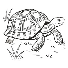 Tortoise Vector 