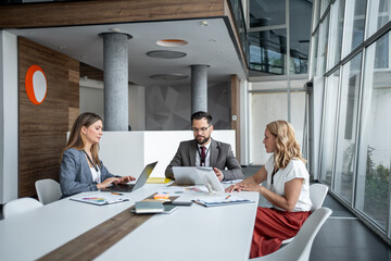 Business people working together on a project in modern office: analyzing charts and statistics on...