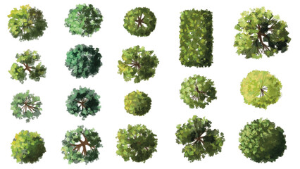 Vector watercolor green tree or forest top view isolated on white background for landscape plan and architecture drawing,plant for environment or garden,botanical element for exterior layout