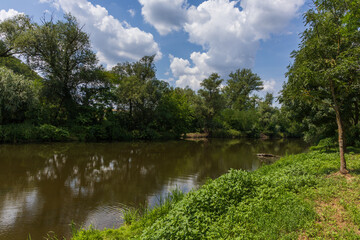 Jihlava River near the Dolni Kounice quarry. Trees along the river