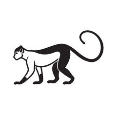 Monkey Walking Calmly On All Fours