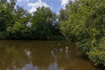 Jihlava River near the Dolni Kounice quarry. Trees along the river