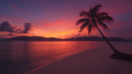 Stunning Sunset Tropical Beach Palm Tree Silhouette Landscape