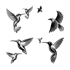 Obraz premium set of silhouettes of birds on white background