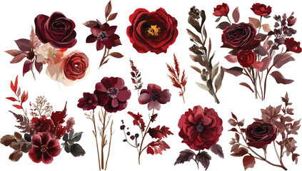 Elegant Watercolor Burgundy Floral Arrangement with Roses and Anemones on White