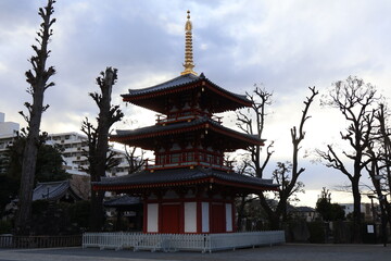 21 February 2025, Tokyo Japan, Three-story pagoda in a temple in Japan