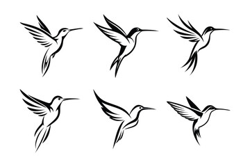 set of birds vector on white background