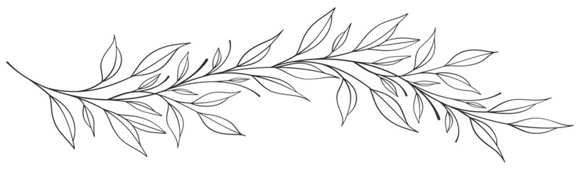 floral leaves line art isolated on white background. Divider doodle leaf and flowers, nature border decorative element vector illustration