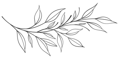 floral leaves line art isolated on white background. Divider doodle leaf and flowers, nature border decorative element vector illustration