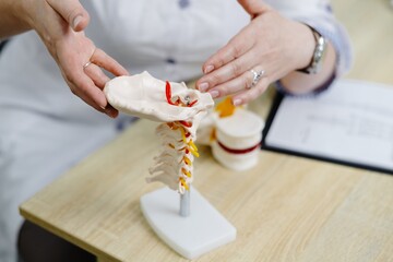 Doctor explaining cervical spine anatomy using anatomical model