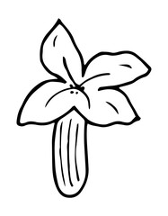 Lavender flower petal in doodle style. Floral hand drawn element for design painted by ink.