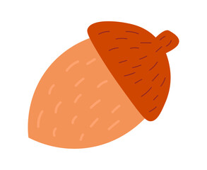 Acorn from oak tree. Autumn design simple flat element.