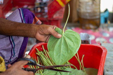 A woman is cutting betel nut with a sharp weapon.