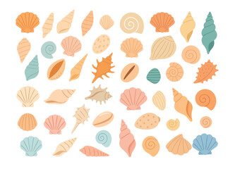 Obraz premium Set of various sea shells in different colors, sizes, and shapes. Coastal nature elements for ocean themed designs, summer decor, and beach-inspired creative projects. Vector flat illustration