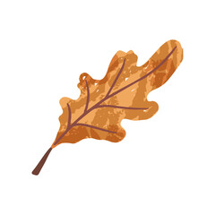 Autumn leaf illustration with warm orange and brown tones. Hand drawn leaf isolated. Perfect for seasonal, fall, or nature-themed design projects