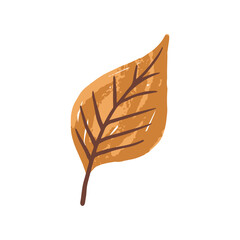 Autumn leaf illustration with warm orange and brown tones. Hand drawn leaf isolated. Perfect for seasonal, fall, or nature-themed design projects