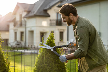 Man in the garden working with the prune and looking involved