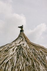 Bird perched on top of a thatched roof under a cloudy sky in a tranquil outdoor setting
